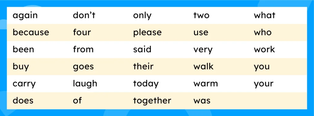 29 irregularly spelled words: again, don't, only, two, what, because, four, please, use, who, been, from, said, very, work, buy, goes, their, walk, you, carry, laugh, today, warm, your, does, of, together, was