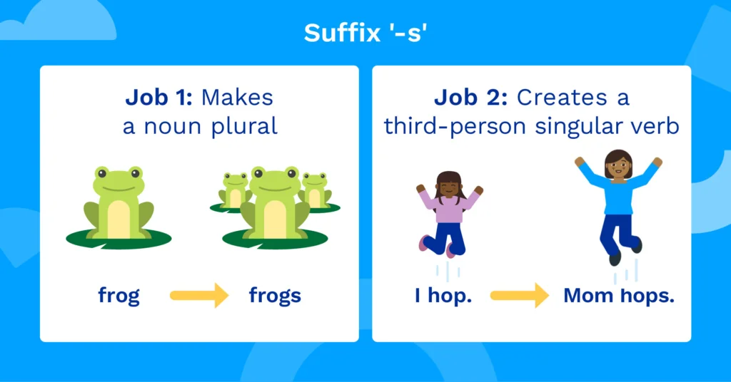 Illustration of how to use suffix '-s' to make a noun plural or create a third person singular verb.