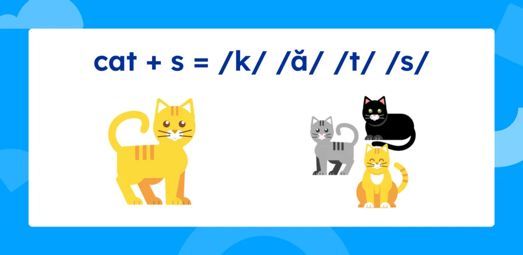 cat + s = /k/ /ă/ /t/ /s/.