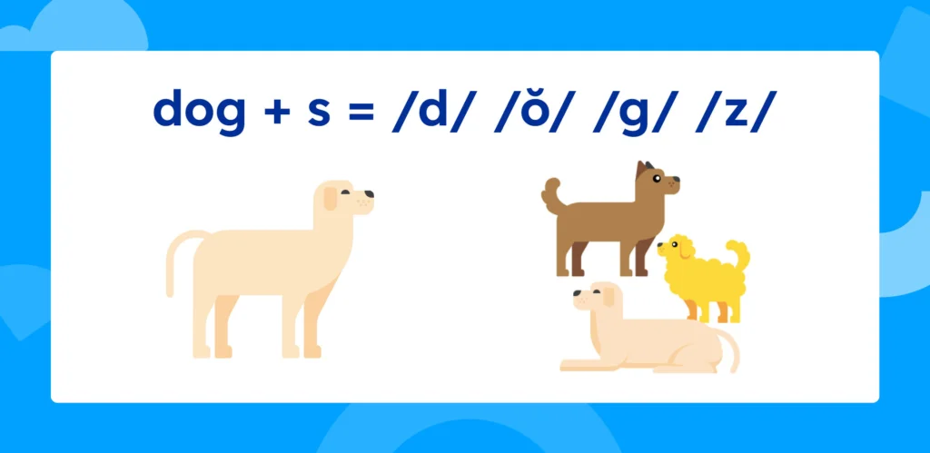 dog + s = /d/ o/ /g/ /z/.