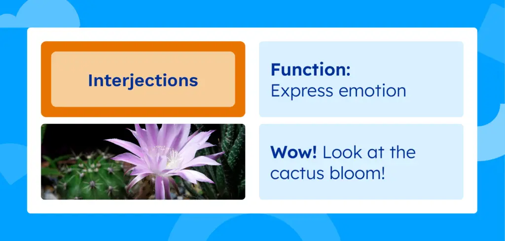 Interjections: function is to express emotion, such as "Wow! Look at the cactus bloom!"