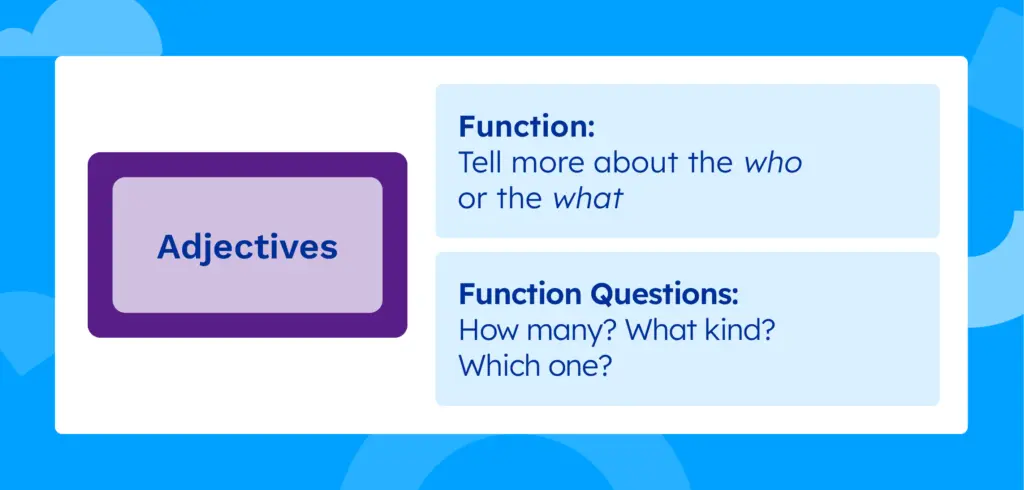 Adjectives: function is to tell more about the who or the what and the function questions are how many, what kind, and which one.