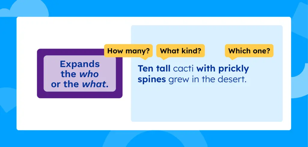 The sentence "Ten tall cacti with prickly spines grew in the desert." The questions how many, what kind, and which one are marked to help expand the "who" and the "what."