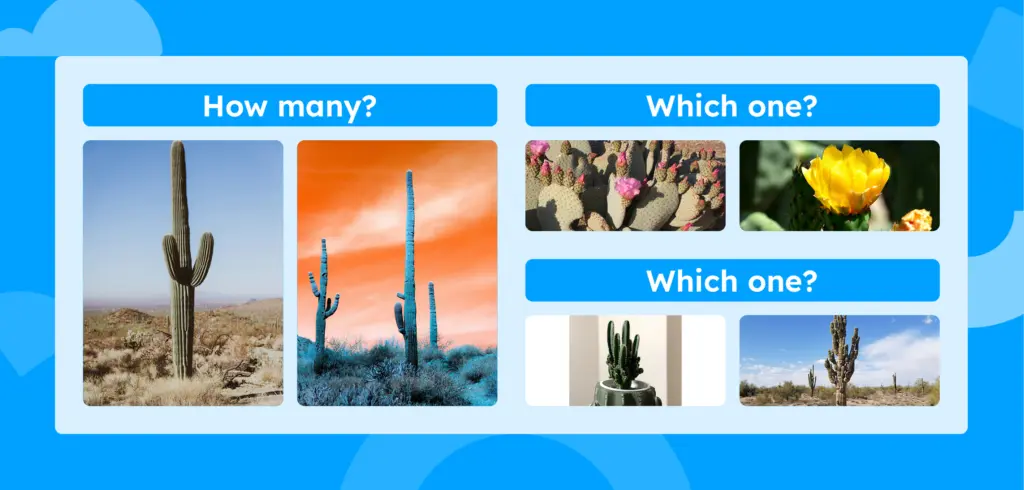 Photos of cacti with the questions how many, what kind, and which one.