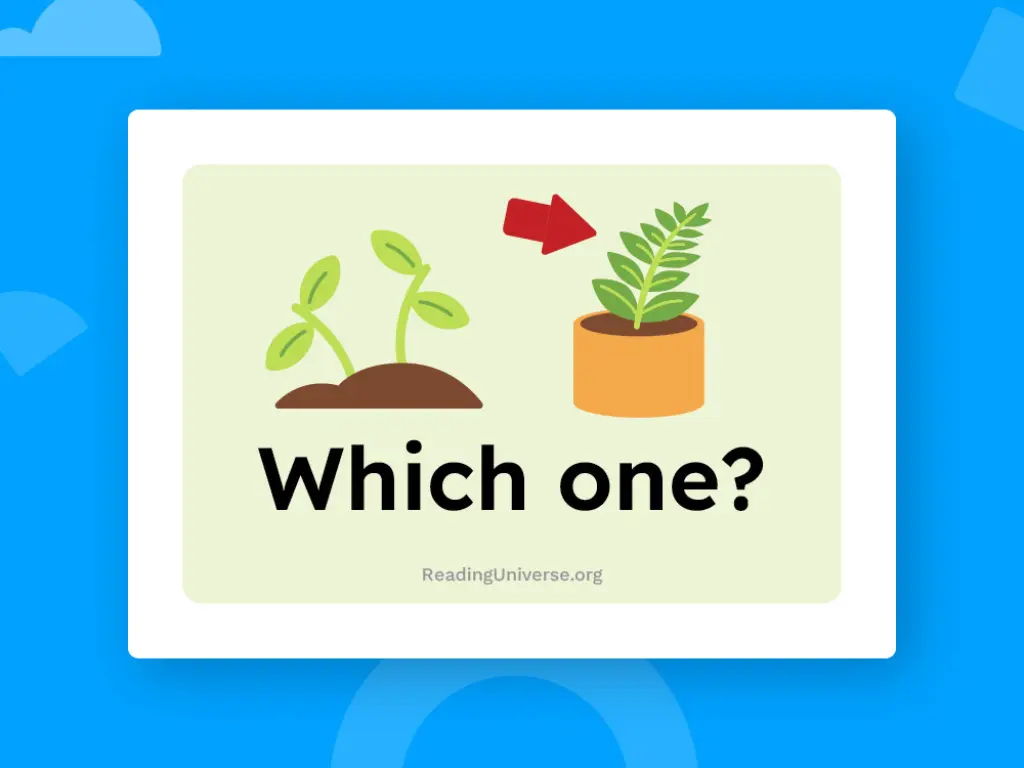 Images of a seedling and a potted plant underneath the question "which one?"