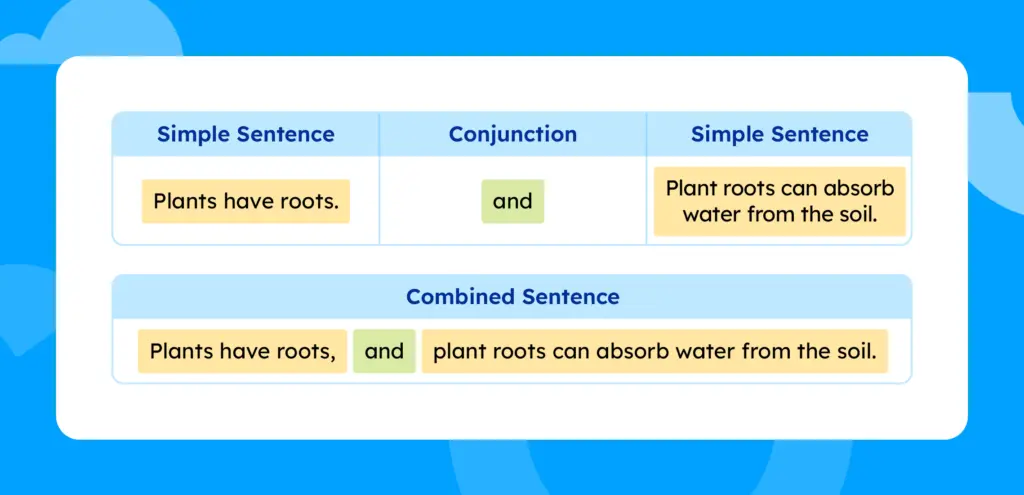 A diagram of combined sentences: simple sentence + conjunction + plant roots can absorb water from the soil.