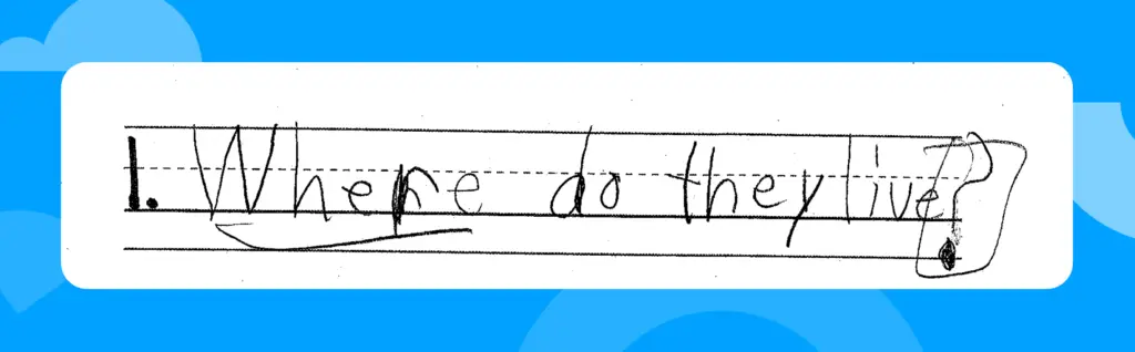 Student writing example: "Where do they live?" with "Where" underlines and the question mark circled.