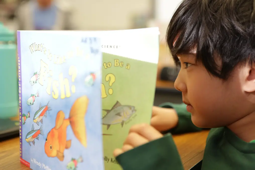 Child reads a book with Spanish text.