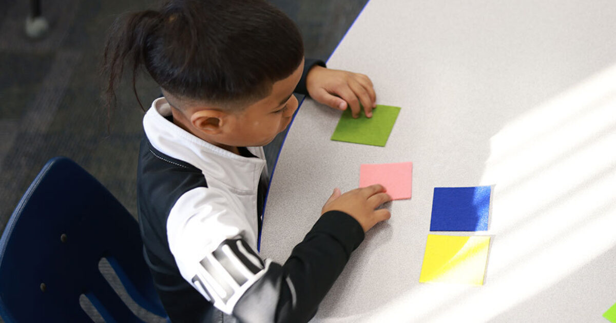 Phoneme Manipulation: Independent Student Practice | Reading Universe